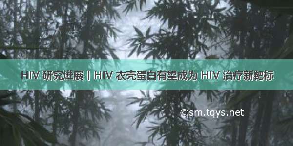 HIV 研究进展丨HIV 衣壳蛋白有望成为 HIV 治疗新靶标