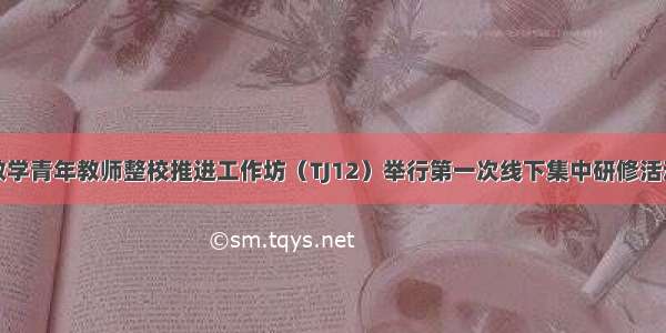 桃江县初中数学青年教师整校推进工作坊（TJ12）举行第一次线下集中研修活动暨开坊仪式