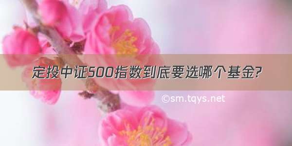 定投中证500指数到底要选哪个基金?