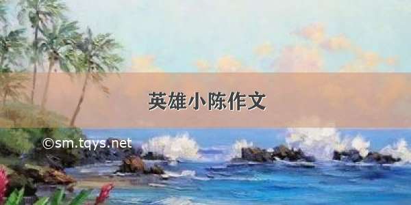 英雄小陈作文