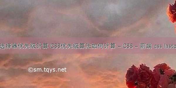 css选择器优先级计算 CSS优先级算法如何计算 – CSS – 前端 css lastchild