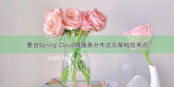 整合Spring Cloud微服务分布式云架构技术点