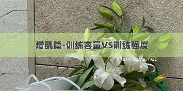 增肌篇-训练容量VS训练强度