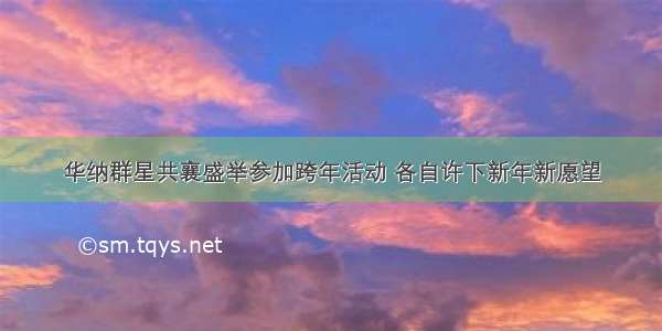 华纳群星共襄盛举参加跨年活动 各自许下新年新愿望