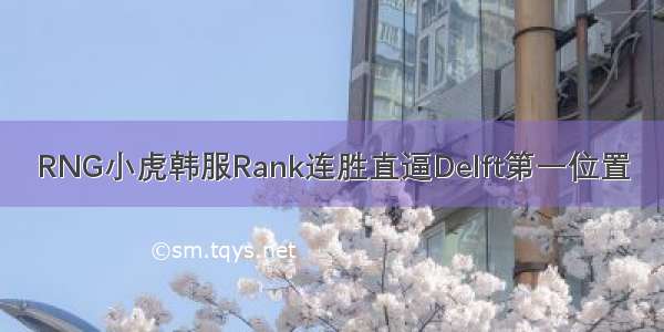 RNG小虎韩服Rank连胜直逼Delft第一位置