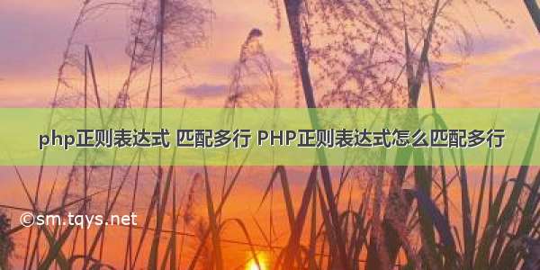 php正则表达式 匹配多行 PHP正则表达式怎么匹配多行