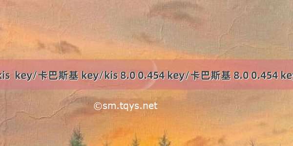 kis  key/卡巴斯基 key/kis 8.0 0.454 key/卡巴斯基 8.0 0.454 key