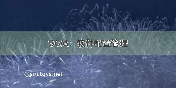 SCM：软件配置管理