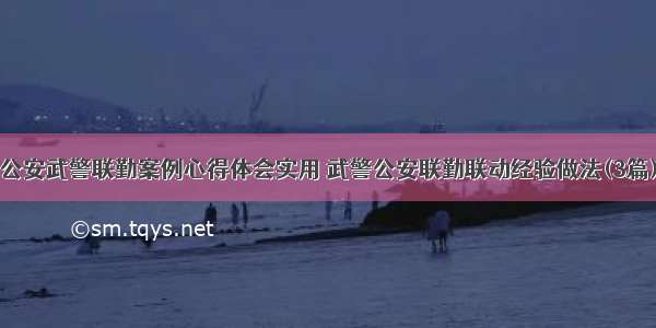 公安武警联勤案例心得体会实用 武警公安联勤联动经验做法(3篇)