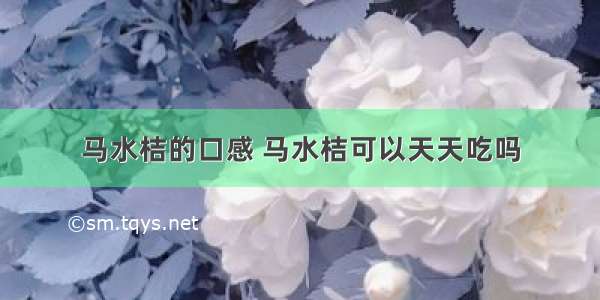 马水桔的口感 马水桔可以天天吃吗