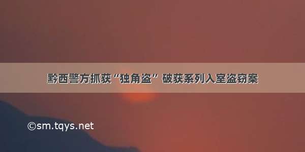 黔西警方抓获“独角盗” 破获系列入室盗窃案