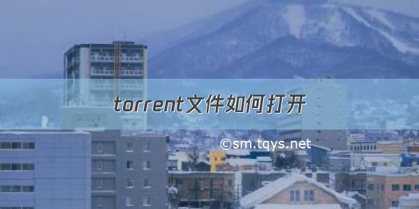 torrent文件如何打开