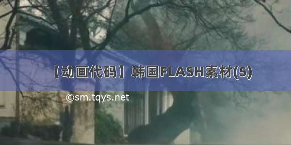 【动画代码】韩国FLASH素材(5)