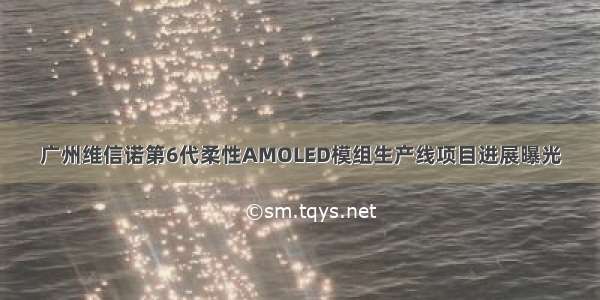 广州维信诺第6代柔性AMOLED模组生产线项目进展曝光