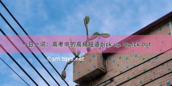 一日一词：高考中的高频短语pick up 与pick out