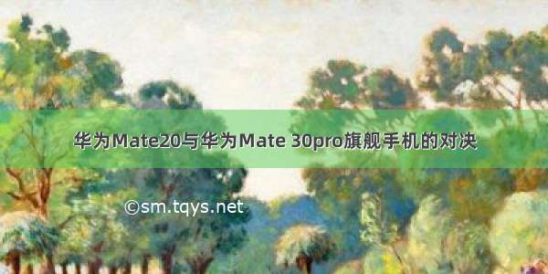 华为Mate20与华为Mate 30pro旗舰手机的对决