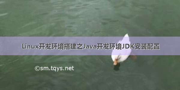 Linux开发环境搭建之Java开发环境JDK安装配置