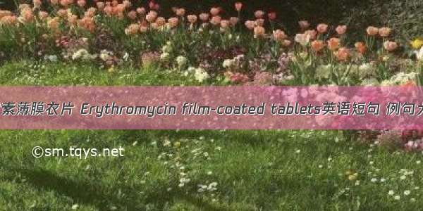 红霉素薄膜衣片 Erythromycin film-coated tablets英语短句 例句大全