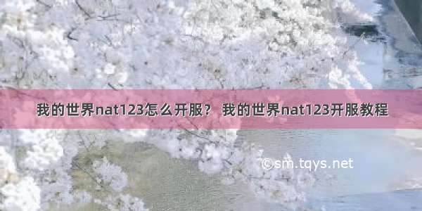 我的世界nat123怎么开服？ 我的世界nat123开服教程