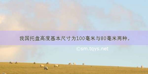 我国托盘高度基本尺寸为100毫米与80毫米两种。