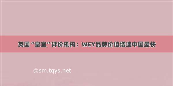 英国“皇室”评价机构：WEY品牌价值增速中国最快