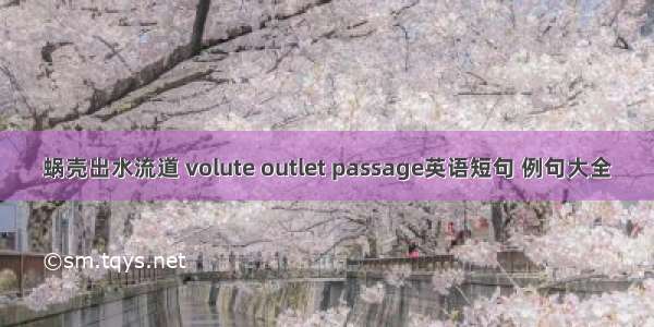 蜗壳出水流道 volute outlet passage英语短句 例句大全