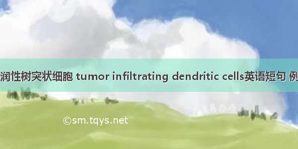 肿瘤浸润性树突状细胞 tumor infiltrating dendritic cells英语短句 例句大全