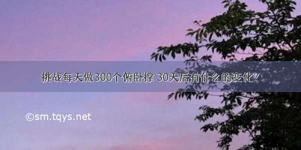 挑战每天做300个俯卧撑 30天后有什么的变化？