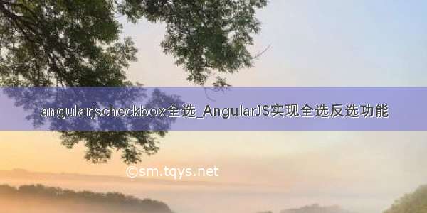 angularjscheckbox全选_AngularJS实现全选反选功能