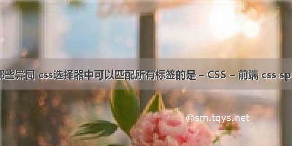 css选择器有哪些异同 css选择器中可以匹配所有标签的是 – CSS – 前端 css span text-align