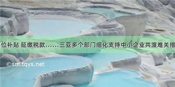 岗位补贴 延缴税款……三亚多个部门细化支持中小企业共渡难关措施