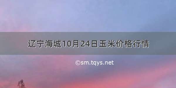 辽宁海城10月24日玉米价格行情