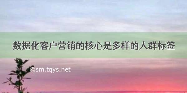 数据化客户营销的核心是多样的人群标签