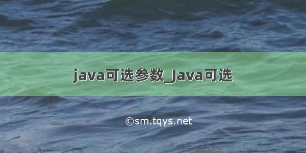 java可选参数_Java可选