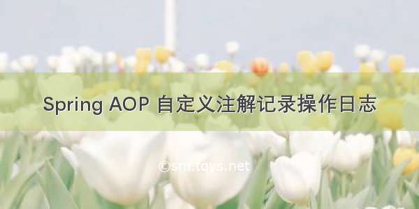 Spring AOP 自定义注解记录操作日志