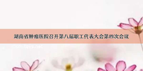 湖南省肿瘤医院召开第八届职工代表大会第四次会议
