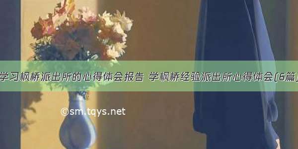 学习枫桥派出所的心得体会报告 学枫桥经验派出所心得体会(6篇)