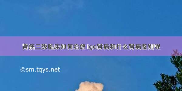 肾病三级临床如何治愈 iga肾病和什么肾病鉴别呢