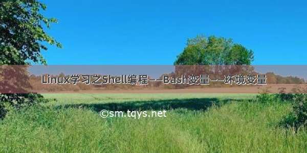 Linux学习之Shell编程——Bash变量——环境变量