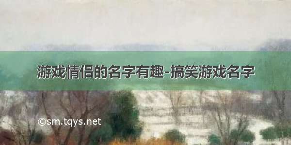 游戏情侣的名字有趣-搞笑游戏名字