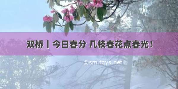 双桥｜今日春分 几枝春花点春光！