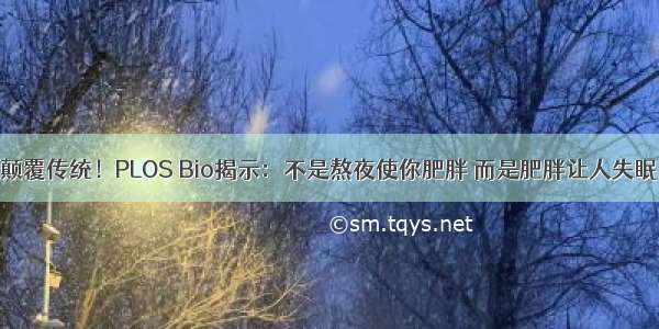 颠覆传统！PLOS Bio揭示：不是熬夜使你肥胖 而是肥胖让人失眠