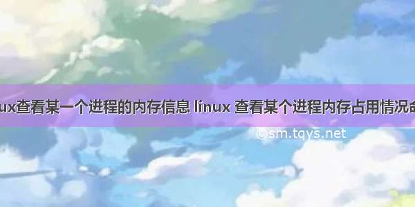 linux查看某一个进程的内存信息 linux 查看某个进程内存占用情况命令