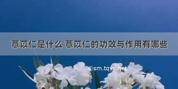 薏苡仁是什么 薏苡仁的功效与作用有哪些