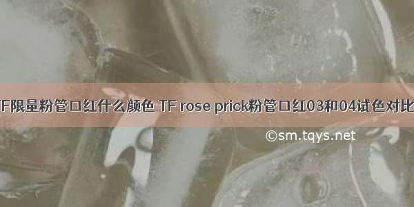 TF限量粉管口红什么颜色 TF rose prick粉管口红03和04试色对比