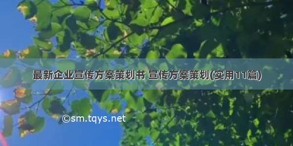 最新企业宣传方案策划书 宣传方案策划(实用11篇)