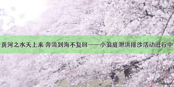 黄河之水天上来 奔流到海不复回——小浪底泄洪排沙活动进行中