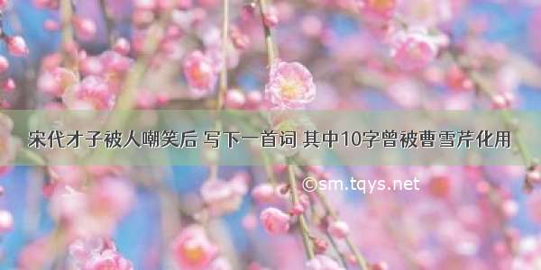 宋代才子被人嘲笑后 写下一首词 其中10字曾被曹雪芹化用