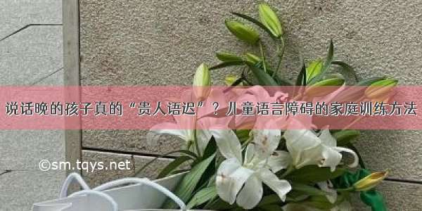 说话晚的孩子真的“贵人语迟”？儿童语言障碍的家庭训练方法