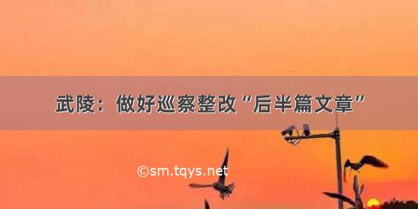 武陵：做好巡察整改“后半篇文章”